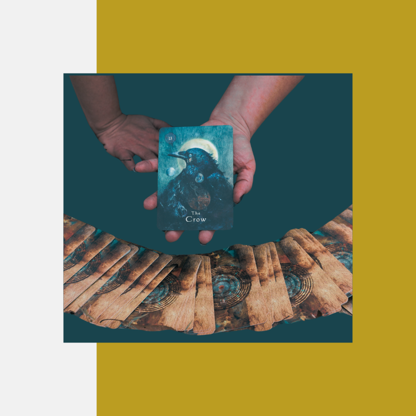 hand holding oracle card with a crow pictured over a spread of face-down oracle cards